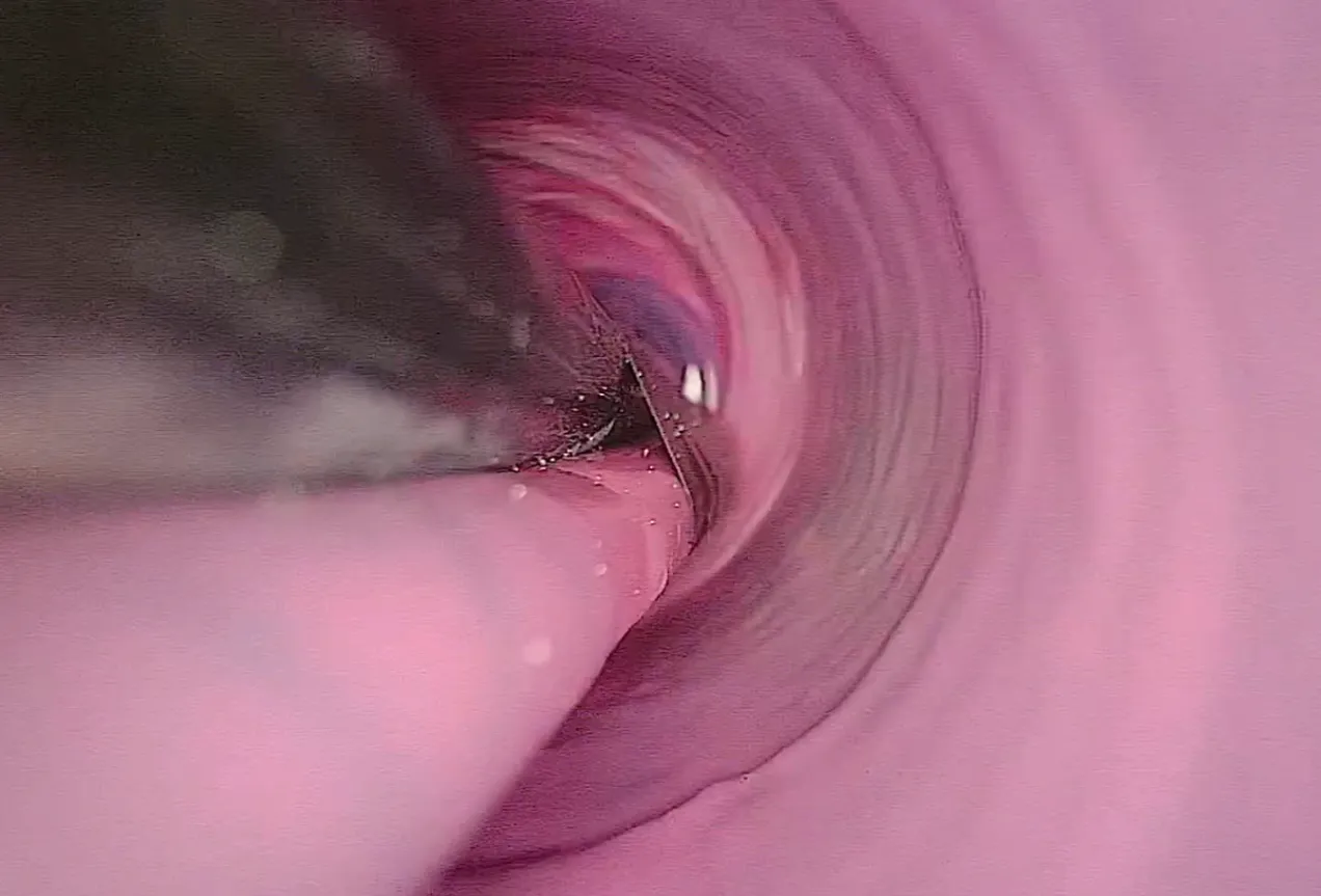 Revestimiento epoxi con ProLight2